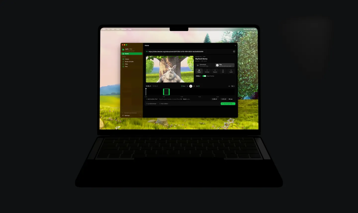 Lynx on a MacBook Pro, with a 28 second part of a video selected to download.